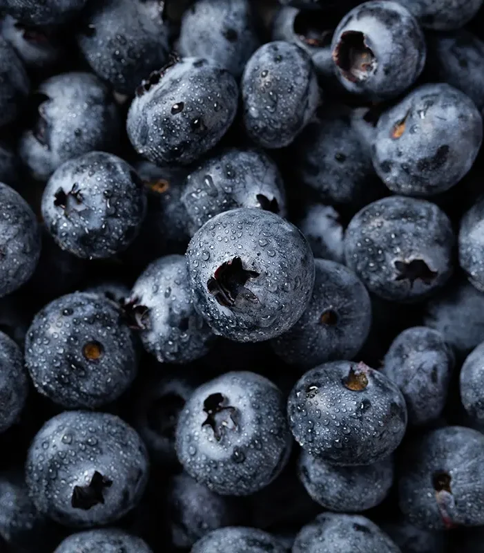 Fresh blueberries are individually quick frozen to give a field fresh fruit, which maintains individual identity. Just right for integration into muffins and other bakery products.
