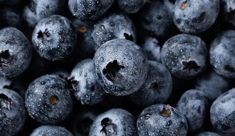 Fresh blueberries are individually quick frozen to give a field fresh fruit, which maintains individual identity. Just right for integration into muffins and other bakery products.