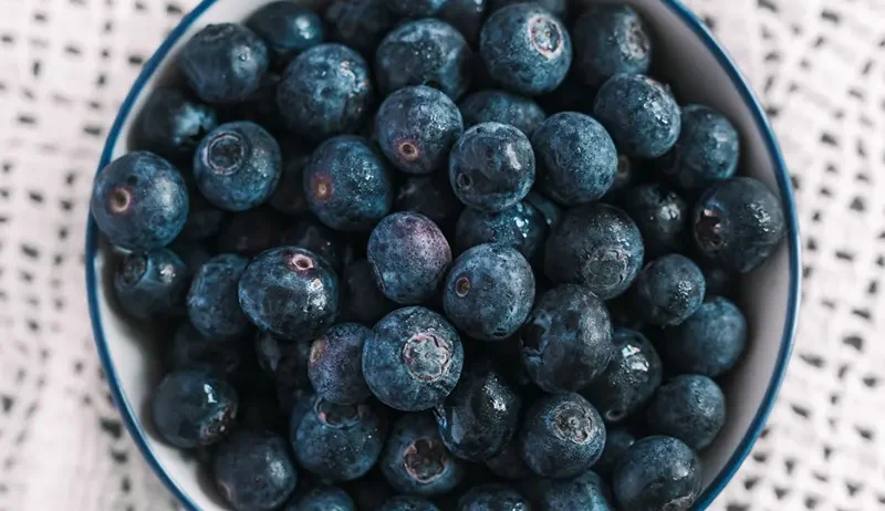 Fresh blueberries are individually quick frozen to give a field fresh fruit
