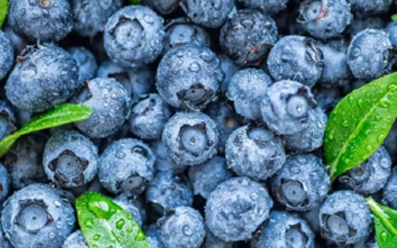 Anthocyanin Nutrition Research - South • North • Central India